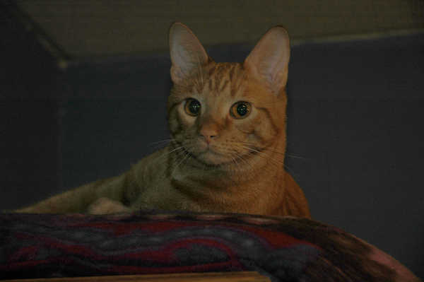 Photos/Dexter/DSC_7370.jpg