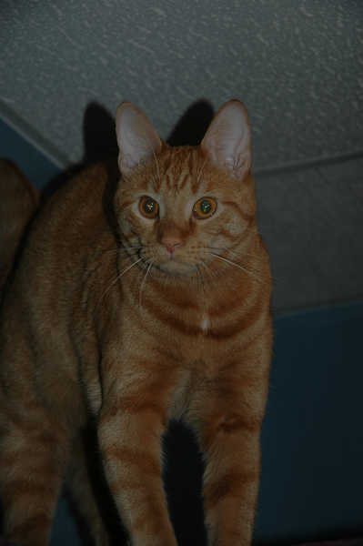 Photos/Dexter/DSC_7372.jpg