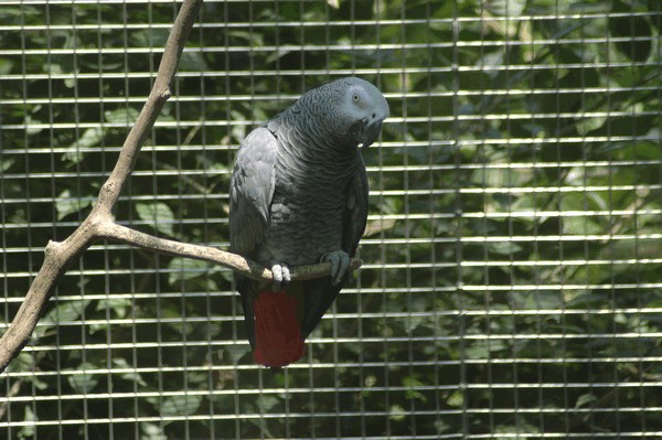Photos/Zoo/DSC_6758sm.jpg